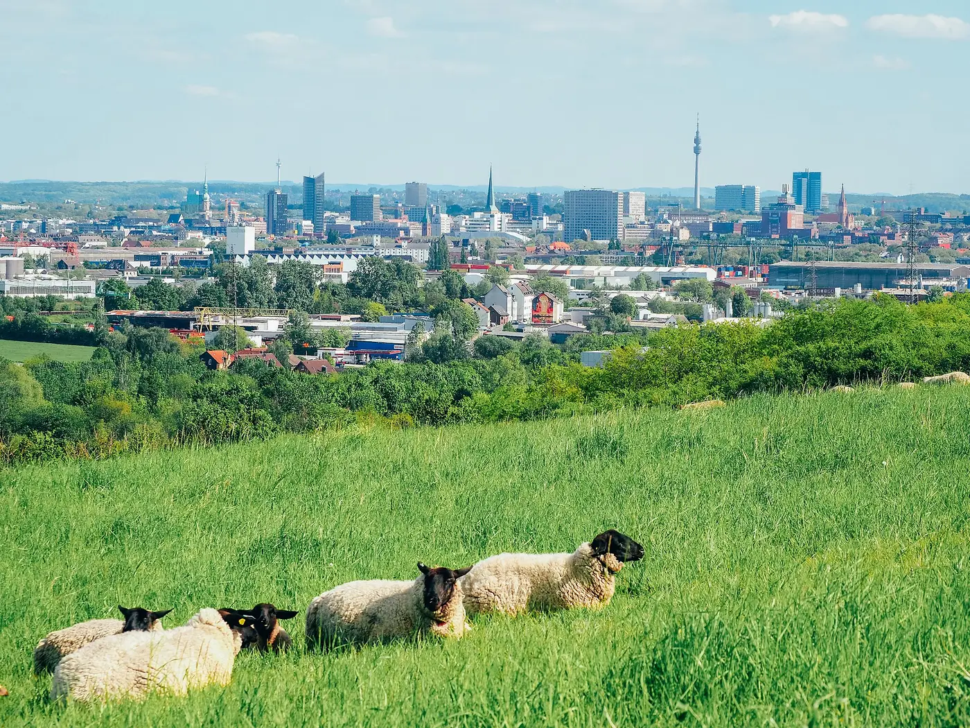 Skyline von Dortmund